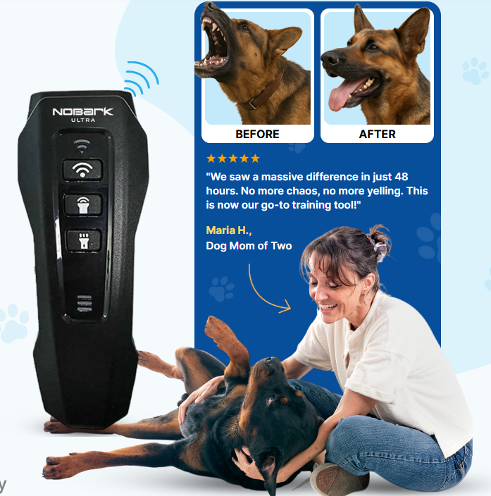 Ultrasonic Technology