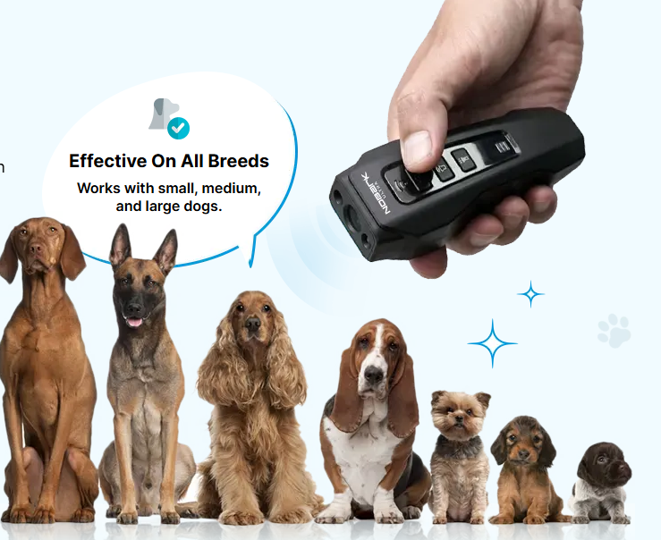 Visual Reinforcement