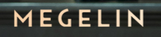 ledmask Logo