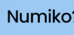 bvue Logo